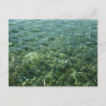 Water over Sea Grass I Caribbean Nature Postcard