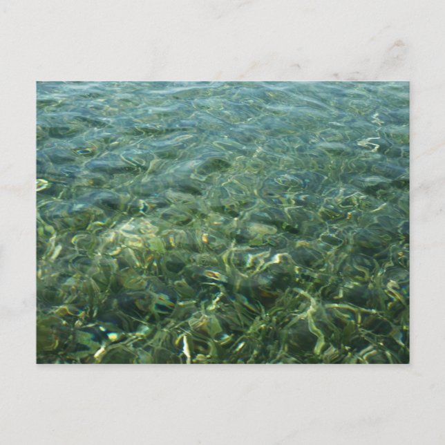 Water over Sea Grass I Caribbean Nature Postcard (Front)