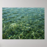 Water over Sea Grass I Caribbean Nature Poster