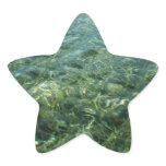 Water over Sea Grass I Caribbean Nature Star Sticker