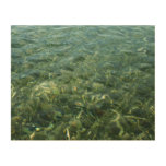 Water over Sea Grass I Caribbean Nature Wood Wall Art