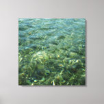 Water over Sea Grass I Caribbean Photography Canvas Print