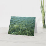Water over Sea Grass I Caribbean Photography Card