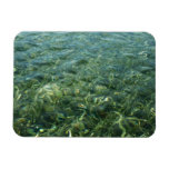 Water over Sea Grass I Caribbean Photography Magnet