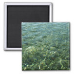 Water over Sea Grass I Caribbean Photography Magnet