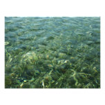 Water over Sea Grass I Caribbean Photography Photo Print