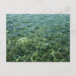 Water over Sea Grass I Caribbean Photography Postcard