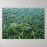 Water over Sea Grass I Caribbean Photography Poster