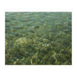 Water over Sea Grass I Caribbean Photography Wood Wall Art