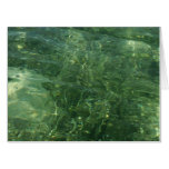 Water over Sea Grass II (Blue and Green) Photo Card