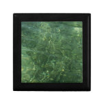 Water over Sea Grass II (Blue and Green) Photo Gift Box