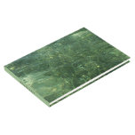 Water over Sea Grass II (Blue and Green) Photo Guest Book