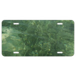 Water over Sea Grass II (Blue and Green) Photo License Plate