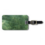 Water over Sea Grass II (Blue and Green) Photo Luggage Tag