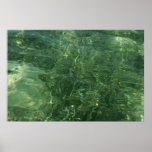 Water over Sea Grass II (Blue and Green) Photo Poster
