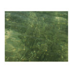 Water over Sea Grass II (Blue and Green) Photo Wood Wall Decor