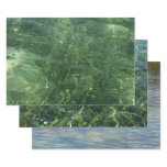 Water over Sea Grass II (Blue and Green) Photo Wrapping Paper Sheets