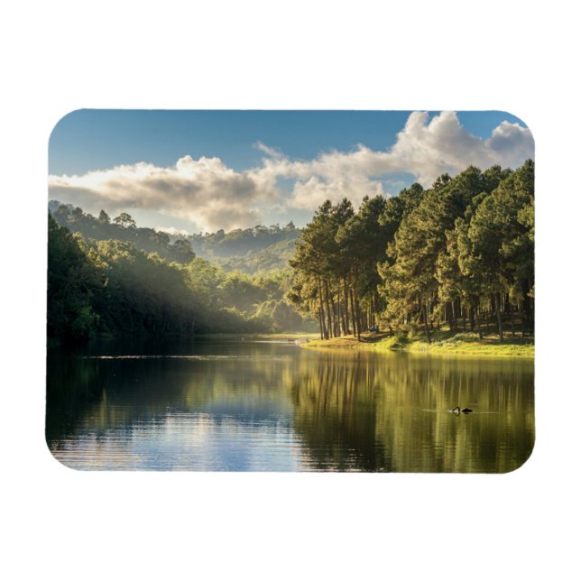 Water | Pang Oung Lake & Pine Forest Thailand Magnet (Horizontal)