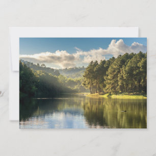 Water   Pang Oung Lake & Pine Forest Thailand Thank You Card