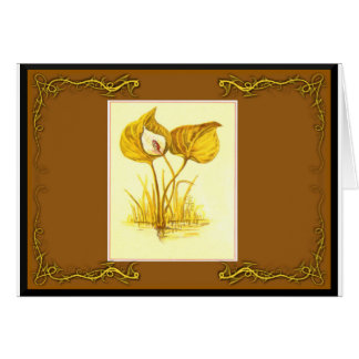 Water Plant Cards