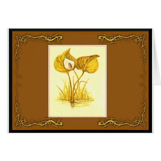 Water Plant Cards (Front Horizontal)