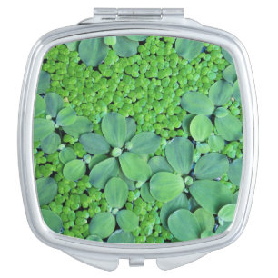 Water plant makeup mirror