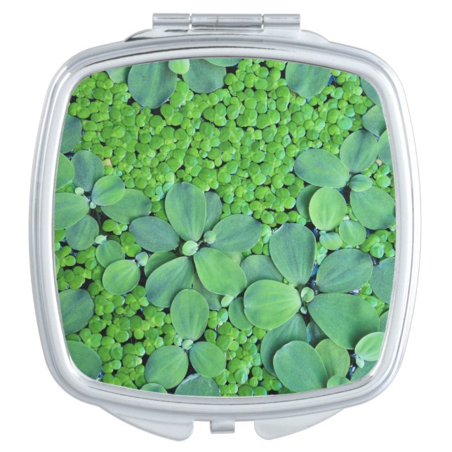 Water plant makeup mirror (Front)