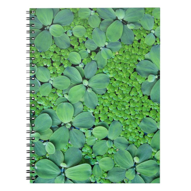 Water plant notebook (Front)