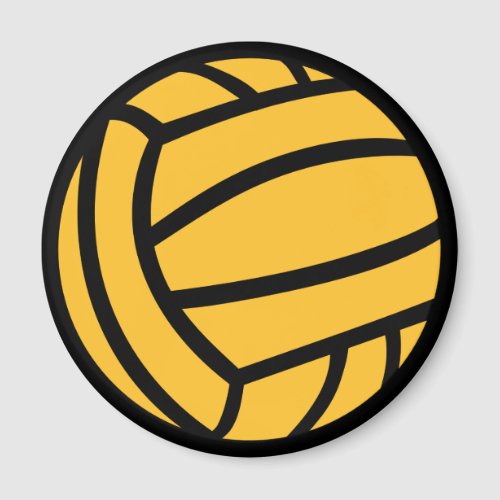 Water polo ball magnet