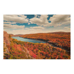 Water   Porcupine Mountains Michigan Wood Wall Art
