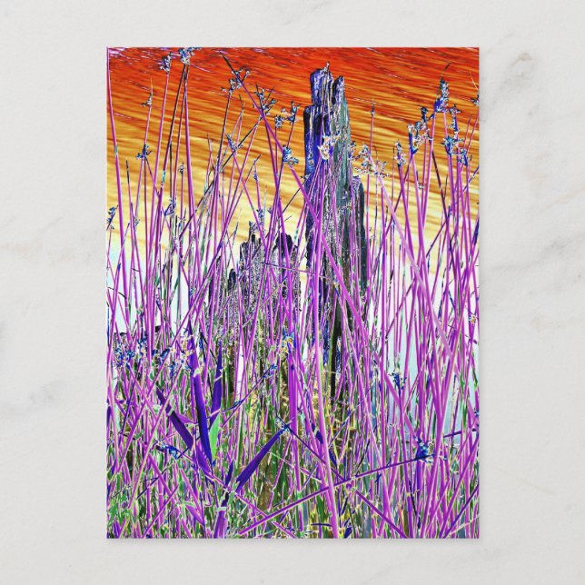 WATER POSTCARD (Front)