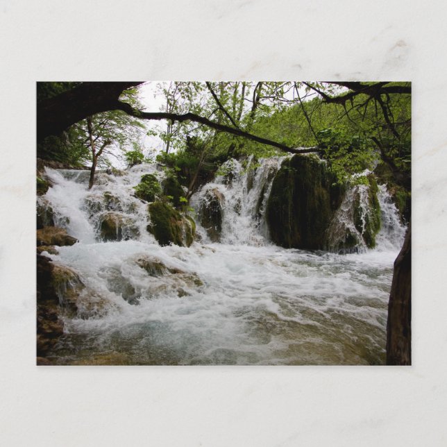 Water Postcard (Front)