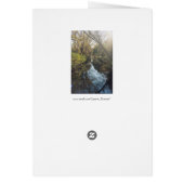 Water Reflecting Trees Cards (Back)