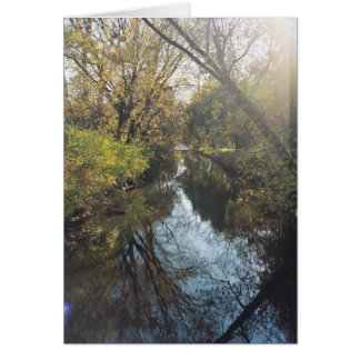 Water Reflecting Trees Cards