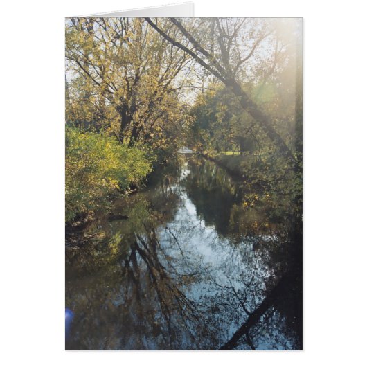Water Reflecting Trees Cards (Front)