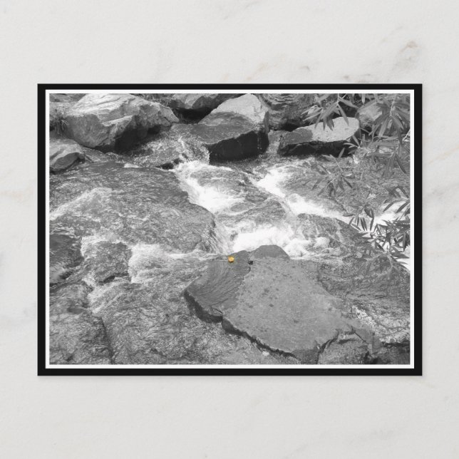 Water & Rocks Postcard (Front)