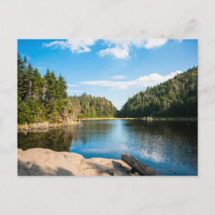 Water Spruce Lake Quebec, Canada Postcard
