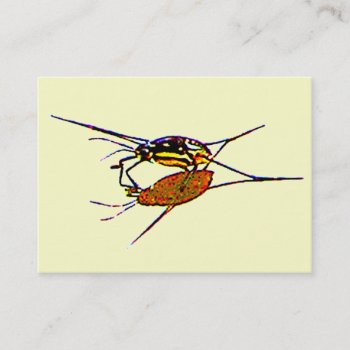 Water Strider Atc Business Card by Bebops at Zazzle