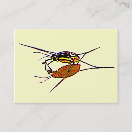 Water Strider Atc Business Card