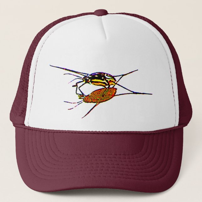 Water Strider sees his shadow Trucker Hat (Front)