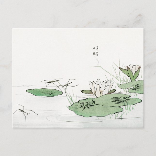 Water Striders on a Pond by Morimoto Toko Postcard (Front)