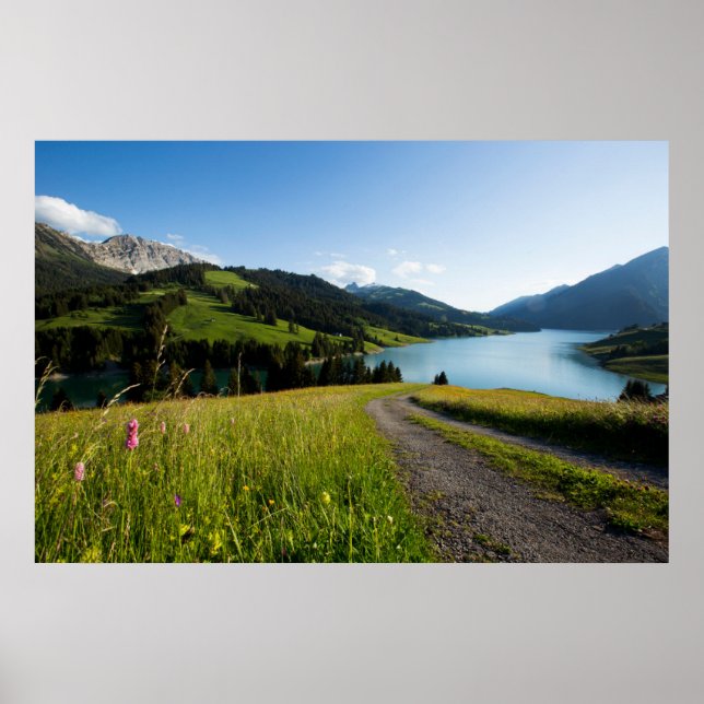 Water | Swiss Alps Footpath Poster (Front)