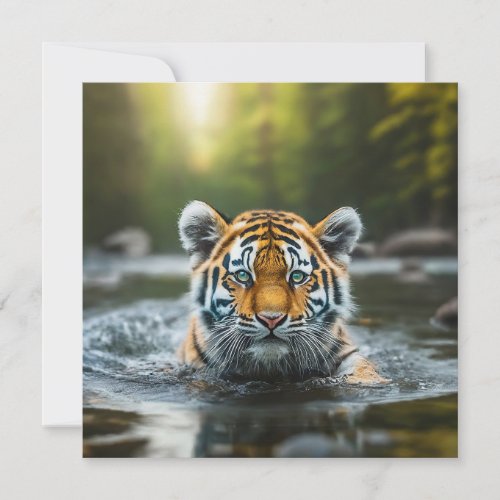 Water Tiger A Majestic Predator