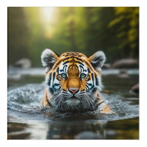 Water Tiger A Majestic Predator Acrylic Print