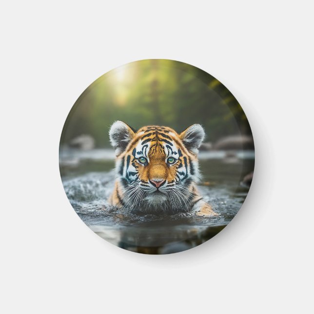 Water Tiger: A Majestic Predator Magnet (Front)