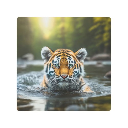 Water Tiger A Majestic Predator Metal Print