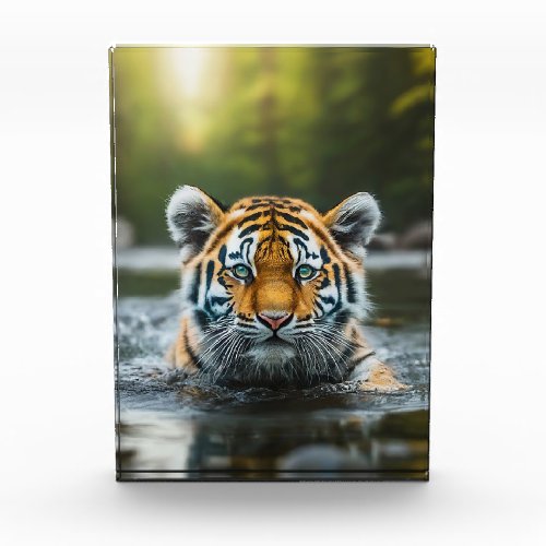 Water Tiger A Majestic Predator Photo Block