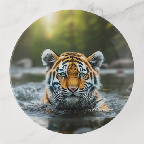 Water Tiger A Majestic Predator Trinket Tray