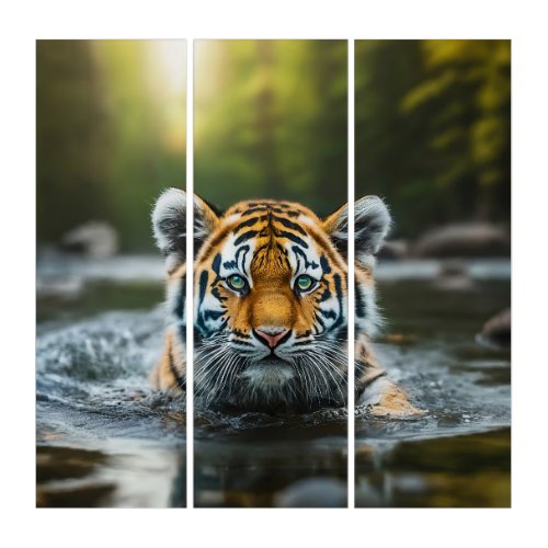 Water Tiger A Majestic Predator Triptych