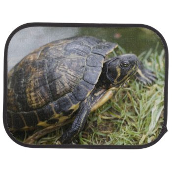 Water Turtle Car Floor Mat by Wonderful12345 at Zazzle